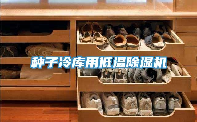 种子冷库用低温泡芙短视频APP官方下载地址