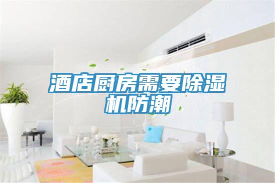 酒店厨房需要泡芙短视频APP官方下载地址防潮