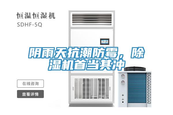 阴雨天抗潮防霉，泡芙短视频APP官方下载地址首当其冲