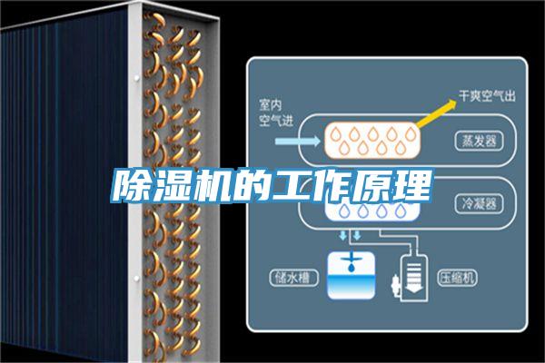 泡芙短视频APP官方下载地址的工作原理