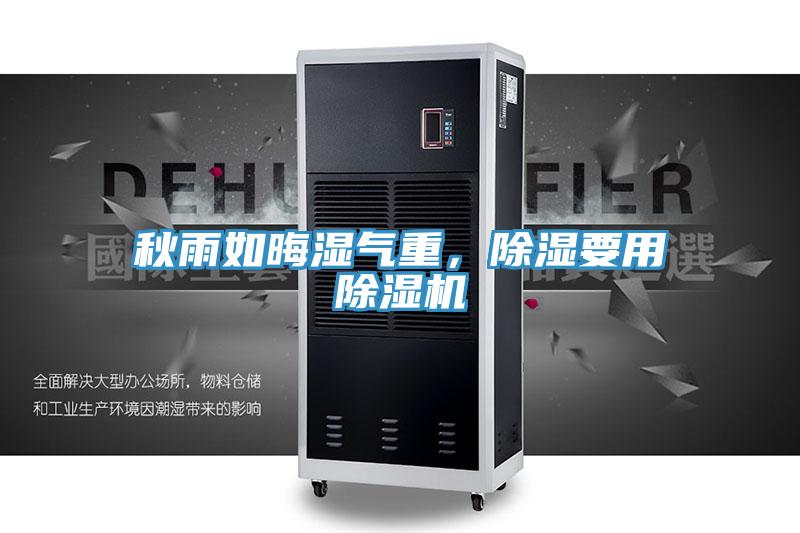 秋雨如晦湿气重，除湿要用泡芙短视频APP官方下载地址