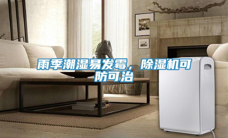 雨季潮湿易发霉，泡芙短视频APP官方下载地址可防可治