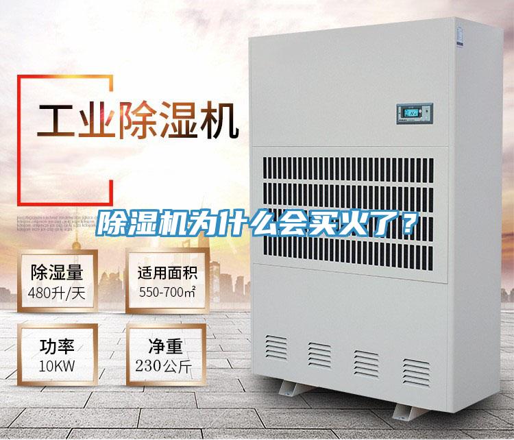 泡芙短视频APP官方下载地址为什么会买火了？