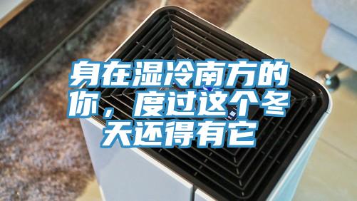 身在湿冷南方的你，度过这个冬天还得有它