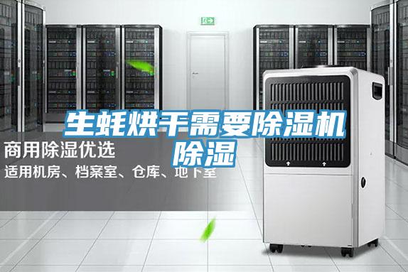 生蚝烘干需要泡芙短视频APP官方下载地址除湿