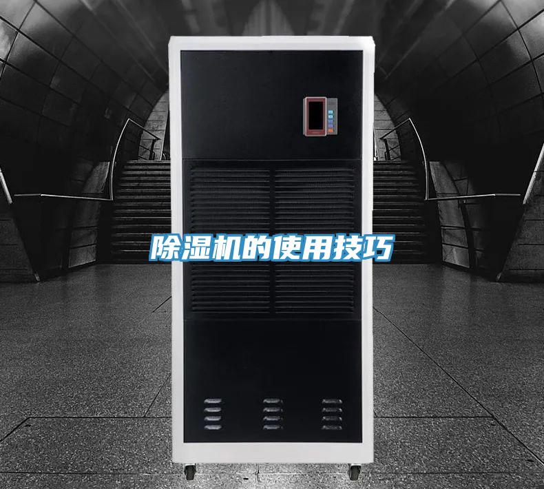 泡芙短视频APP官方下载地址的使用技巧