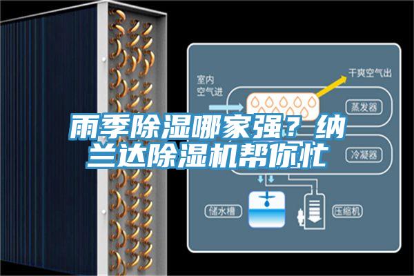 雨季除湿哪家强？纳兰达泡芙短视频APP官方下载地址帮你忙