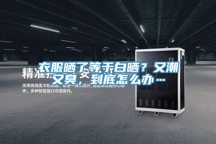 衣服晒了等于白晒？又潮又臭，到底怎么办…