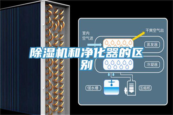 泡芙短视频APP官方下载地址和净化器的区别