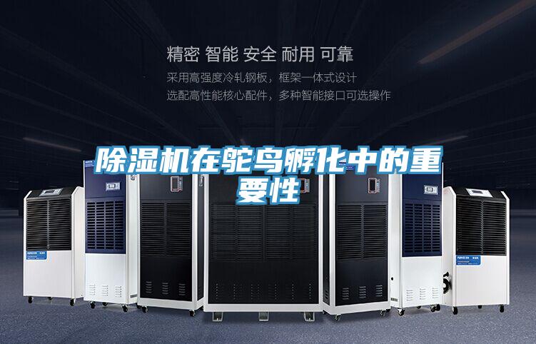 泡芙短视频APP官方下载地址在鸵鸟孵化中的重要性