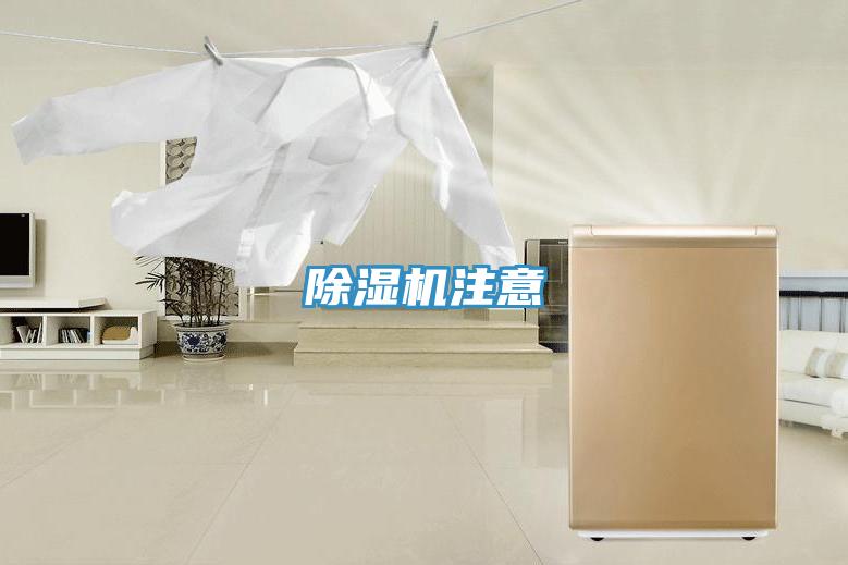 泡芙短视频APP官方下载地址注意