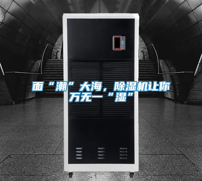 面“潮”大海,泡芙短视频APP官方下载地址让你万无一“湿”