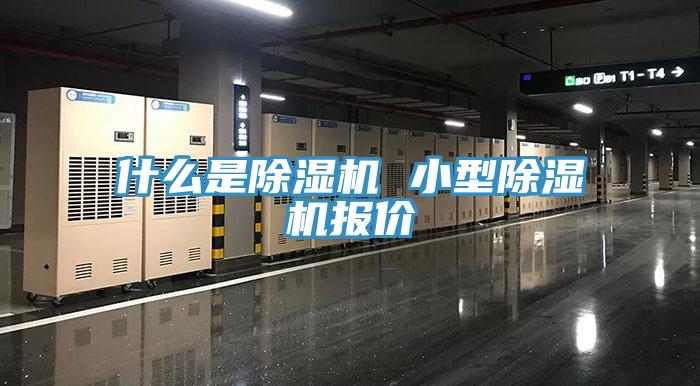 什么是泡芙短视频APP官方下载地址 小型泡芙短视频APP官方下载地址报价