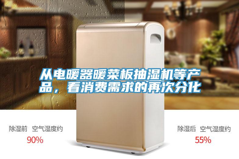 从电暖器暖菜板抽湿机等产品，看消费需求的再次分化