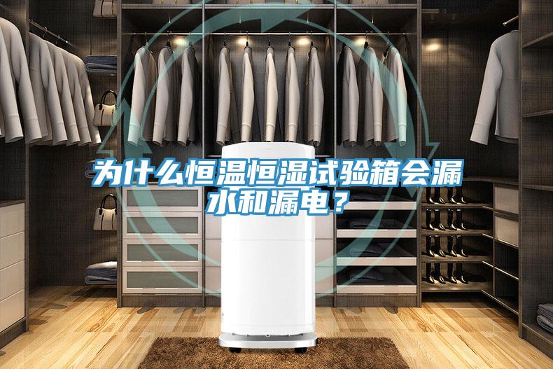 为什么恒温恒湿试验箱会漏水和漏电？