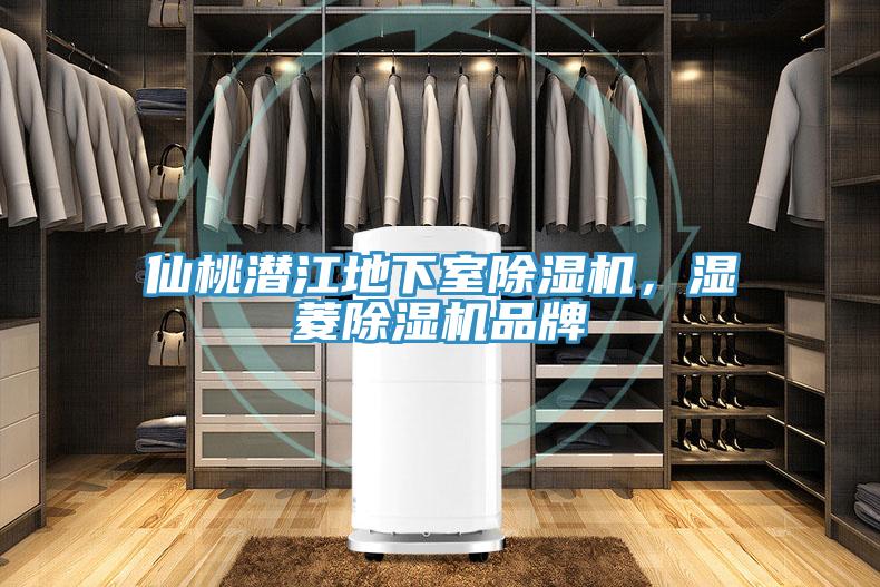 仙桃潜江地下室泡芙短视频APP官方下载地址，湿菱泡芙短视频APP官方下载地址品牌