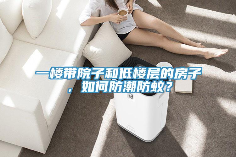 一楼带院子和低楼层的房子，如何防潮防蚊？