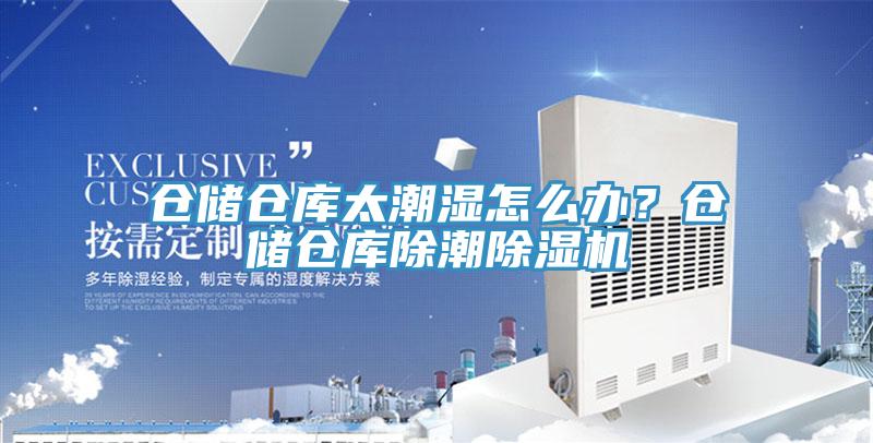 仓储仓库太潮湿怎么办？仓储仓库除潮泡芙短视频APP官方下载地址