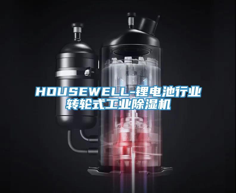 HOUSEWELL-锂电池行业转轮式工业泡芙短视频APP官方下载地址