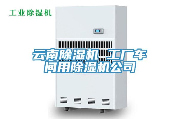 云南泡芙短视频APP官方下载地址 工厂车间用泡芙短视频APP官方下载地址公司