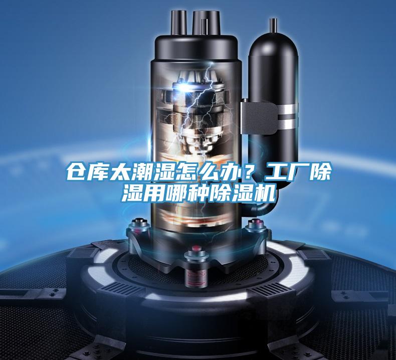 仓库太潮湿怎么办？工厂除湿用哪种泡芙短视频APP官方下载地址