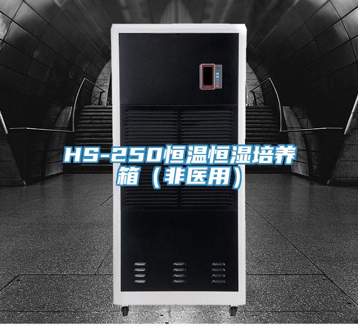 HS-250恒温恒湿培养箱(非医用)