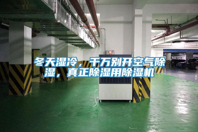 冬天湿冷，千万别开空气除湿，真正除湿用泡芙短视频APP官方下载地址