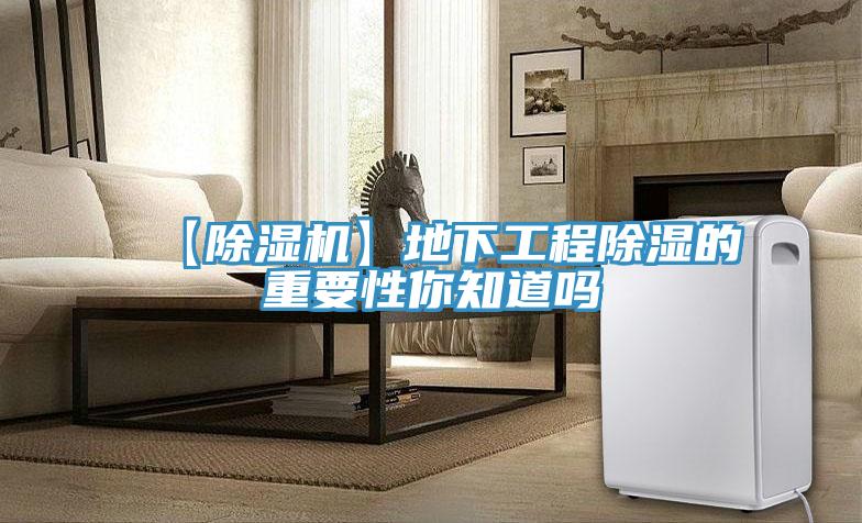 【泡芙短视频APP官方下载地址】地下工程除湿的重要性你知道吗