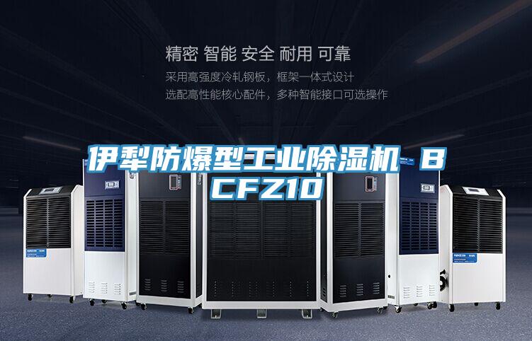 伊犁防爆型工业泡芙短视频APP官方下载地址 BCFZ10