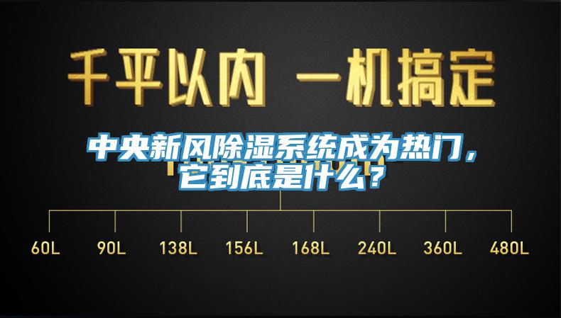 中央新风除湿系统成为热门，它到底是什么？