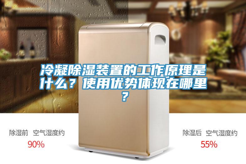 冷凝除湿装置的工作原理是什么？使用优势体现在哪里？