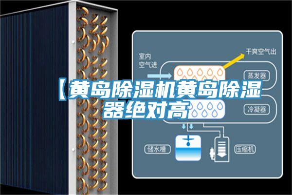 【黄岛泡芙短视频APP官方下载地址黄岛除湿器绝对高