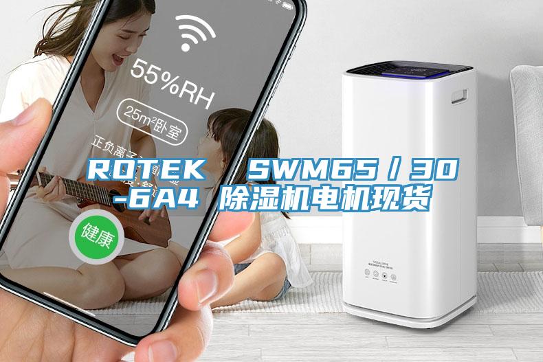 ROTEK  SWM65／30-6A4 泡芙短视频APP官方下载地址电机现货
