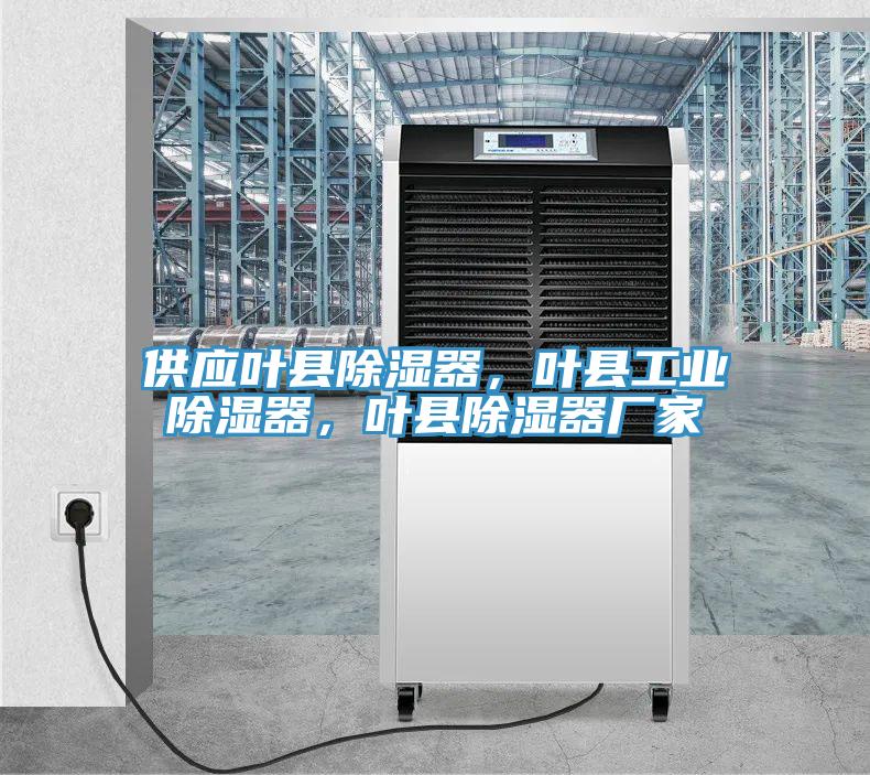 供应叶县除湿器，叶县工业除湿器，叶县除湿器厂家
