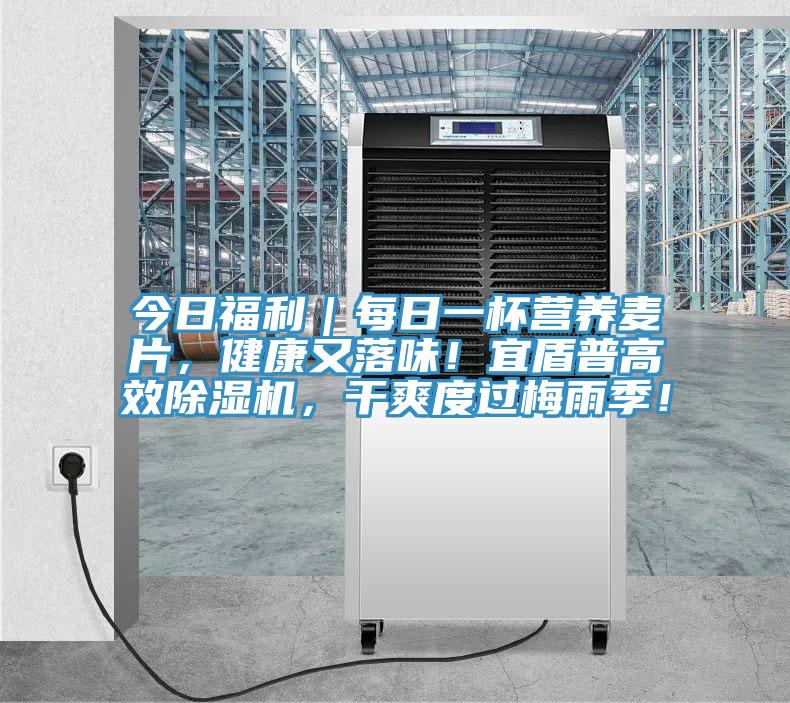 今日福利｜每日一杯营养麦片，健康又落味！宜盾普高效泡芙短视频APP官方下载地址，干爽度过梅雨季！