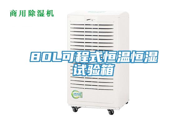 80L可程式恒温恒湿试验箱