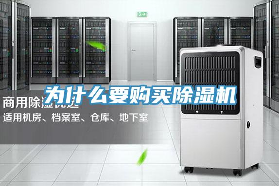 为什么要购买泡芙短视频APP官方下载地址