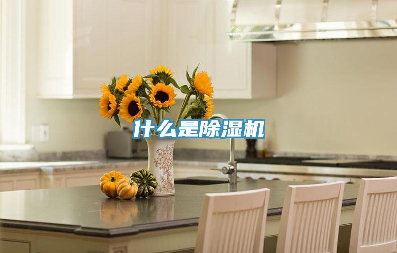 什么是泡芙短视频APP官方下载地址