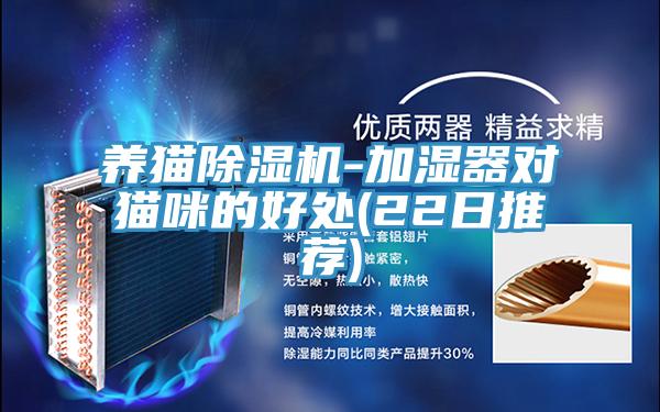 养猫泡芙短视频APP官方下载地址-加湿器对猫咪的好处(22日推荐)