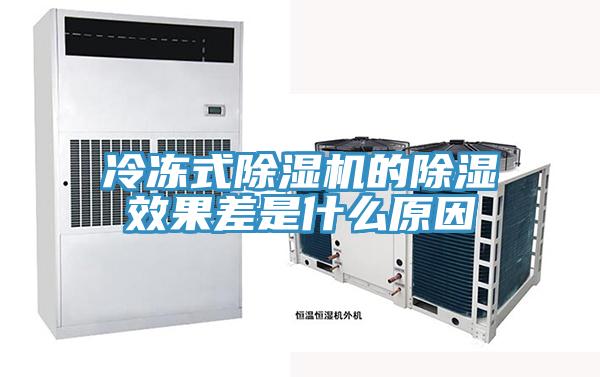 冷冻式泡芙短视频APP官方下载地址的除湿效果差是什么原因