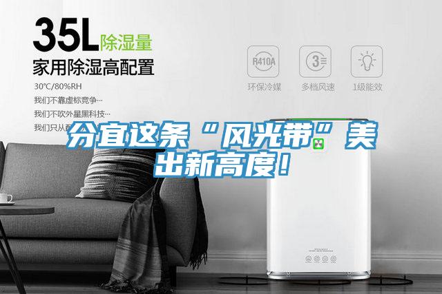 分宜这条“风光带”美出新高度！