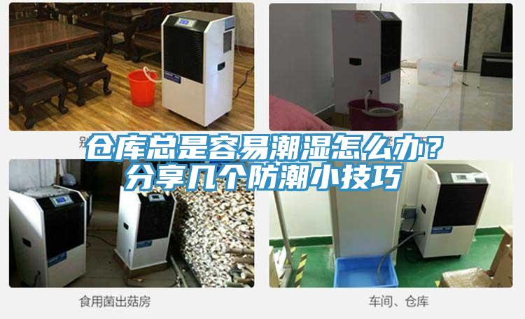 仓库总是容易潮湿怎么办？分享几个防潮小技巧