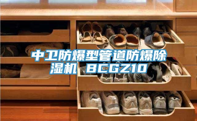 中卫防爆型管道防爆泡芙短视频APP官方下载地址 BCGZ10