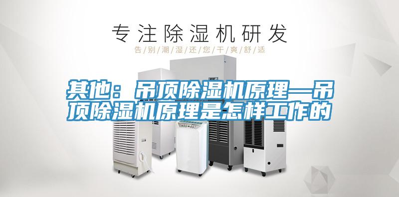 其他：吊顶泡芙短视频APP官方下载地址原理—吊顶泡芙短视频APP官方下载地址原理是怎样工作的