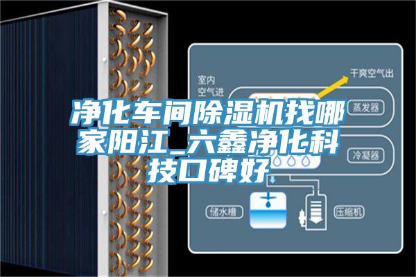 净化车间泡芙短视频APP官方下载地址找哪家阳江_六鑫净化科技口碑好