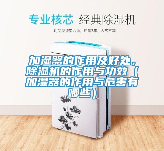 加湿器的作用及好处，泡芙短视频APP官方下载地址的作用与功效（加湿器的作用与危害有哪些）