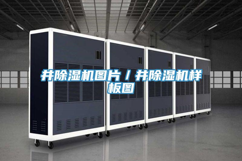 井泡芙短视频APP官方下载地址图片／井泡芙短视频APP官方下载地址样板图