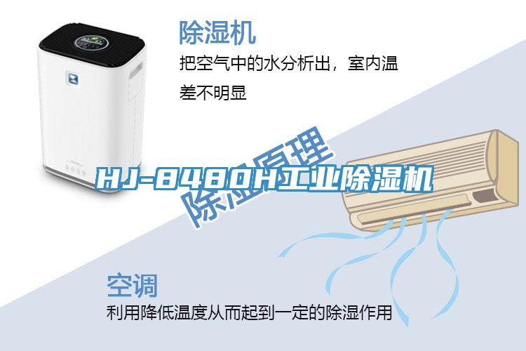 HJ-8480H工业泡芙短视频APP官方下载地址