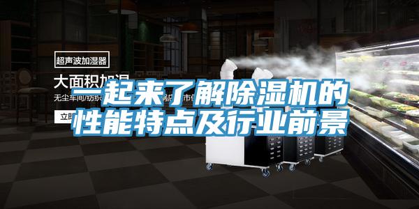 一起来了解泡芙短视频APP官方下载地址的性能特点及行业前景