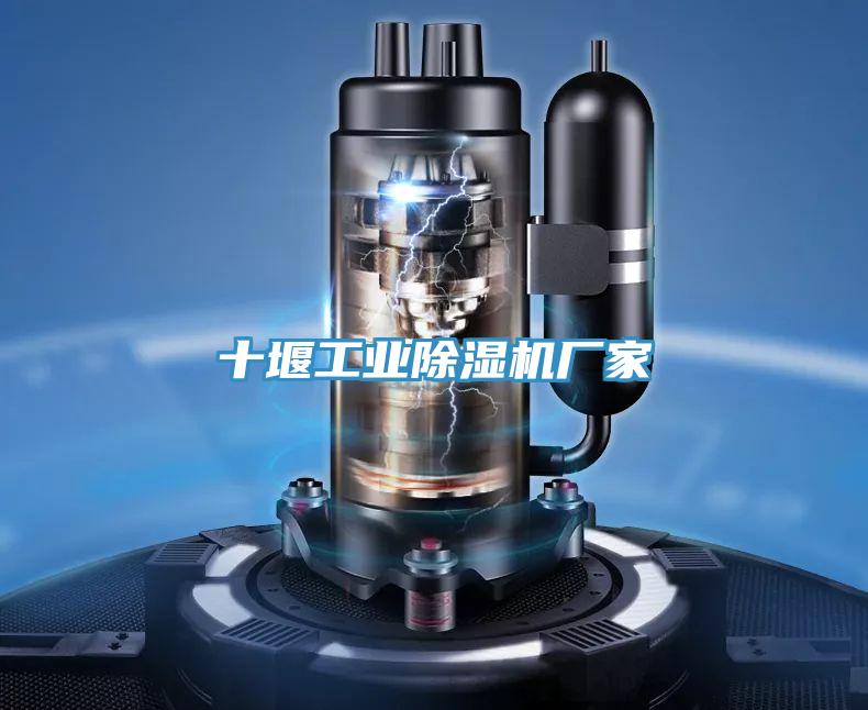 十堰工业泡芙短视频APP官方下载地址厂家